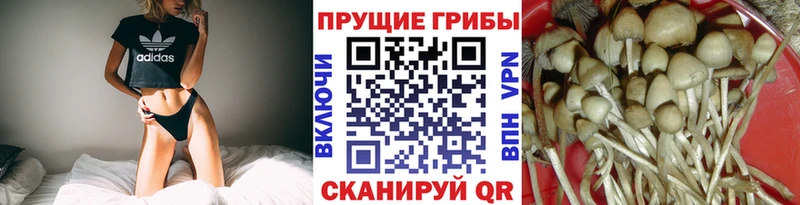 купить   Горнозаводск  Псилоцибиновые грибы прущие грибы 
